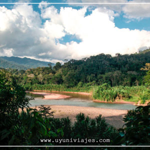 Selva da Bolívia Rurrenabaque