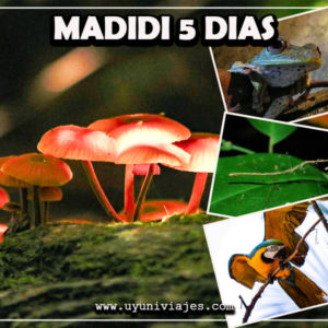 tour madidi bolivia
