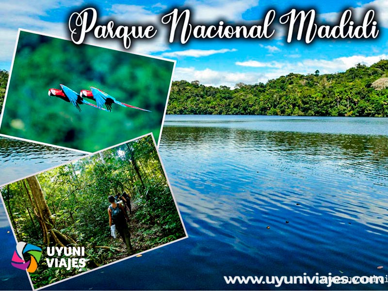 madidi11 parque nacional madidi full day