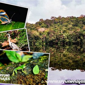 madidi-pampas-rurrenabaque