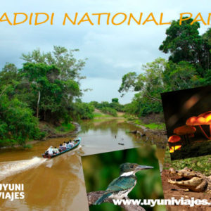 madidi 2 dias national park