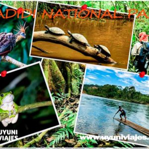 madidi tour 4 dias national park