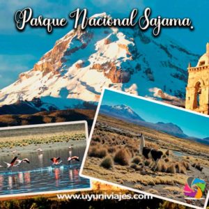 Tour Parque nacional de Sajama