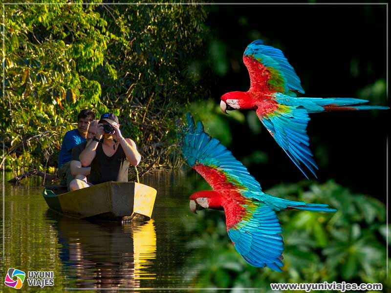 tour madidi uyuni viajes 