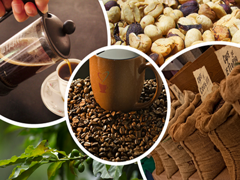 tourcafe Tour del café Coroico