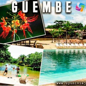 Guembe BIOCENTER SANTA CRUZ