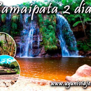 Samaipata 2 days dias bosque de helechos