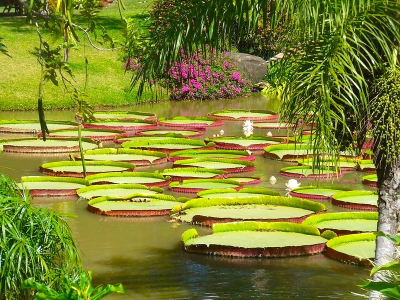 la rinconada 2 La Rinconada Santa Cruz