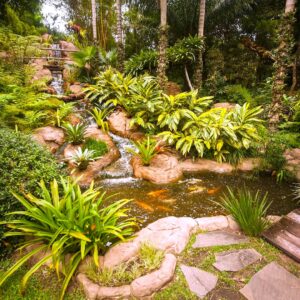 La rinconada Santa Cruz