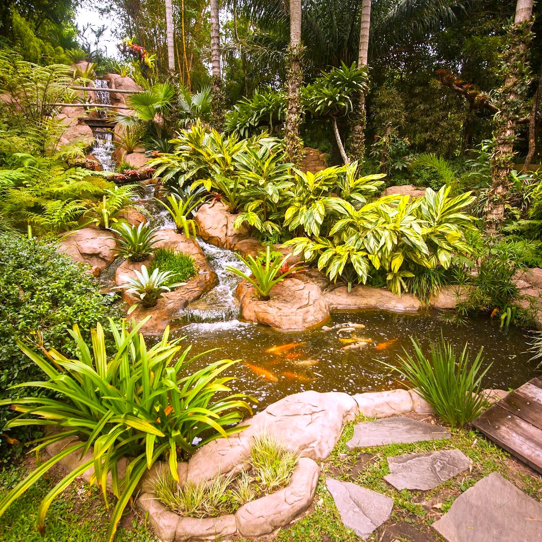 la rinconada La rinconada Santa Cruz