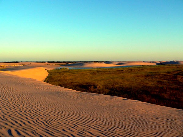 lomas de arena Lomas de Arena Santa Cruz